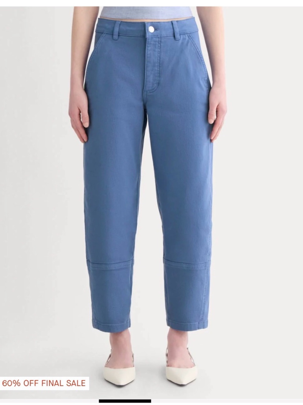 Everlane Utility Barrel Pant